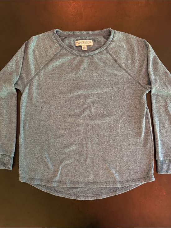 Karen Neuburger Tops - Karen Neuburger Heathered Blue Pullover Sweatshirt